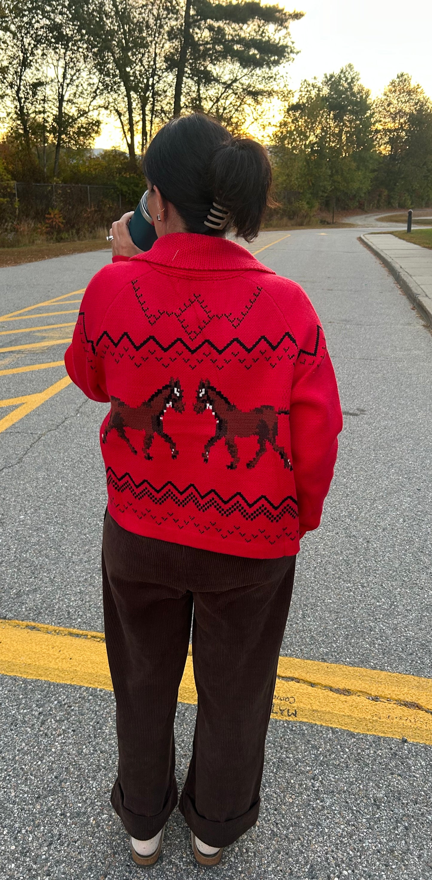 Horse Cardigan